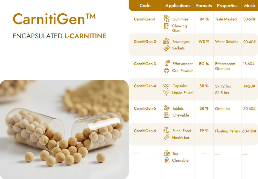 Encapsulated L-Carnitine Beadlets