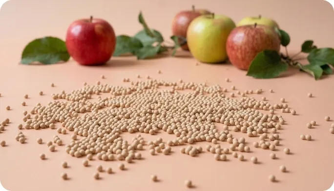 Encapsulated Apple Cider Vinegar Extract Beadlets