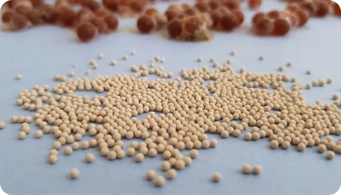 Encapsulated Astaxanthin Beadlets & Granules | AstaxGen™