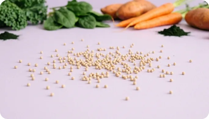 Encapsulated Beta Carotene Beadlets