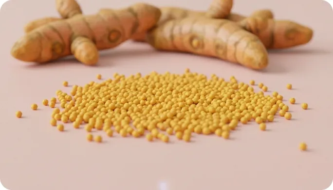 Encapsulated Curcumin Beadlets