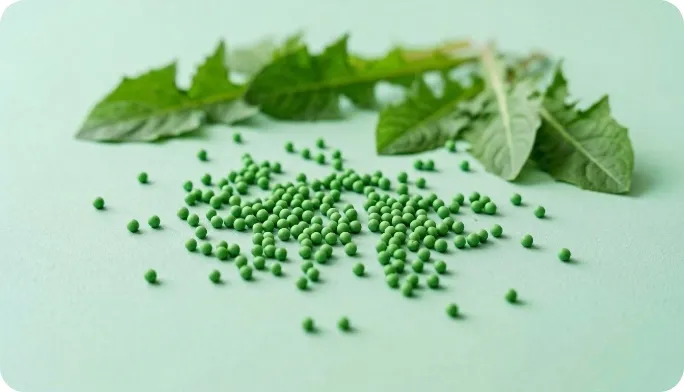 Encapsulated Dandelion Leaf Beadlets