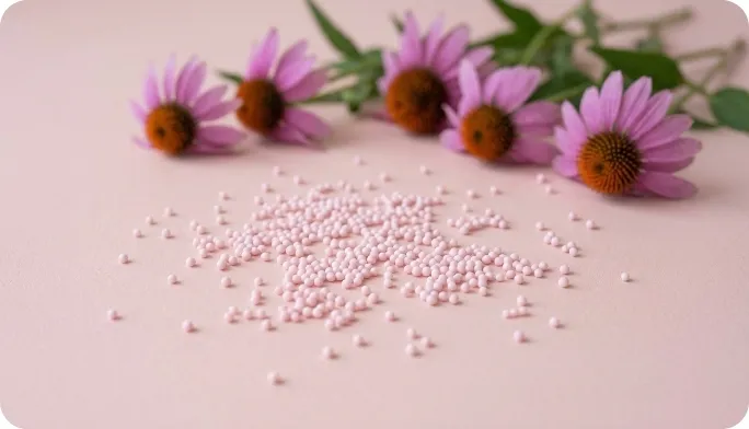 Encapsulated Echinacea Extract Beadlets