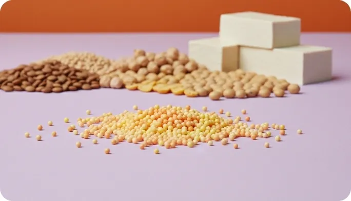 Encapsulated Ferrous Ascorbate Beadlets