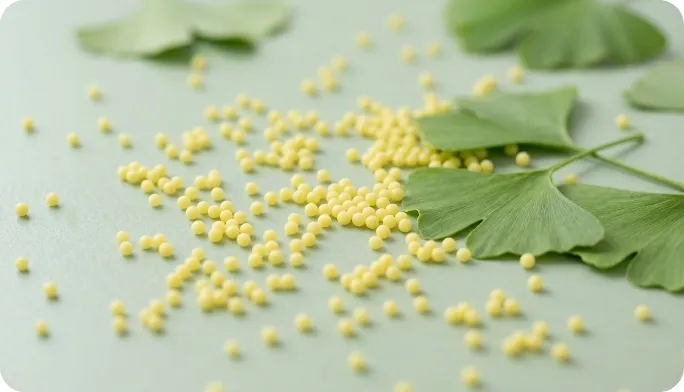 Encapsulated Ginkgo Biloba Beadlets