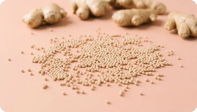 Encapsulated Ginger Extract Beadlets