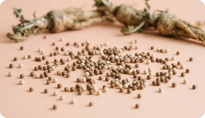 Encapsulated Inulin Beadlets