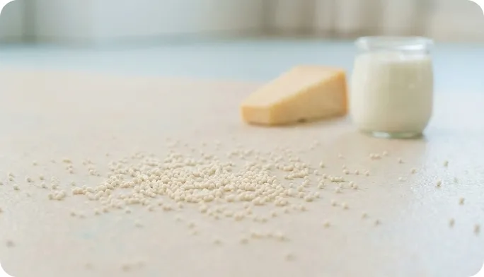 Encapsulated Lysine Beadlets