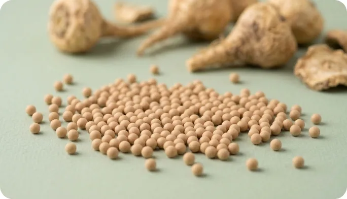 Encapsulated Maca root powder Beadlets