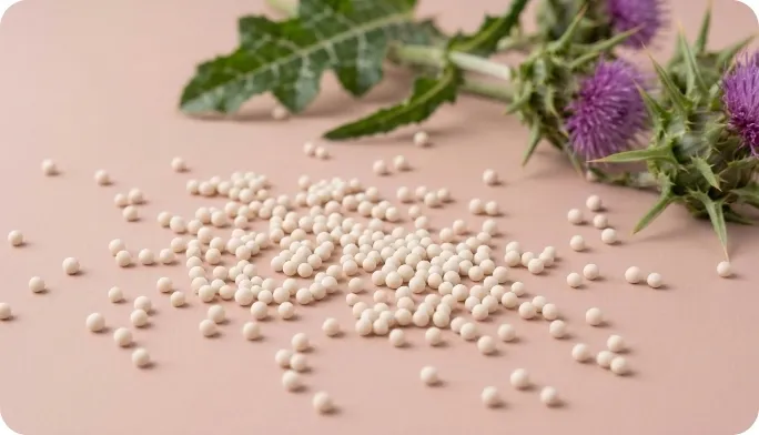 Encapsulated Milk Thistle Beadlets