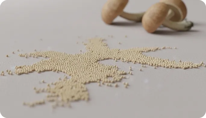 Encapsulated Mushroom Beadlets & Granules | MushroGen™