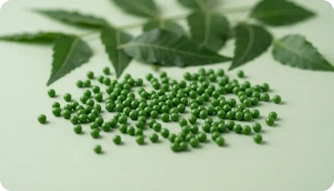 Encapsulated Neem Leaf Beadlets