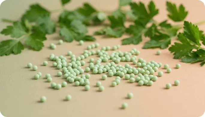 Encapsulated Parsley Oil Beadlets