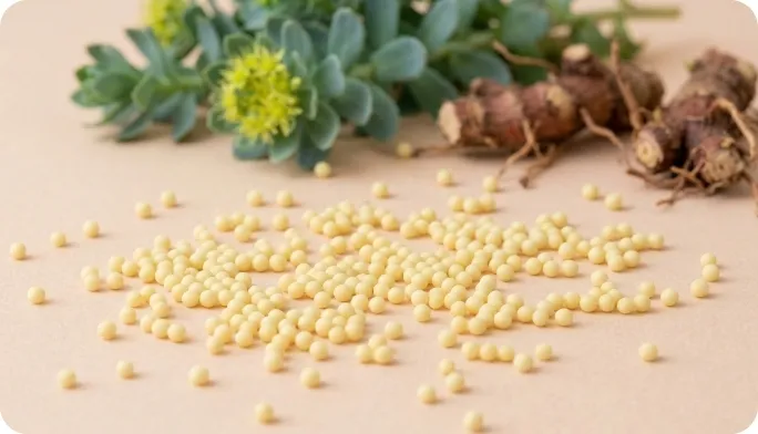 Encapsulated Rodhiola rosea Beadlets