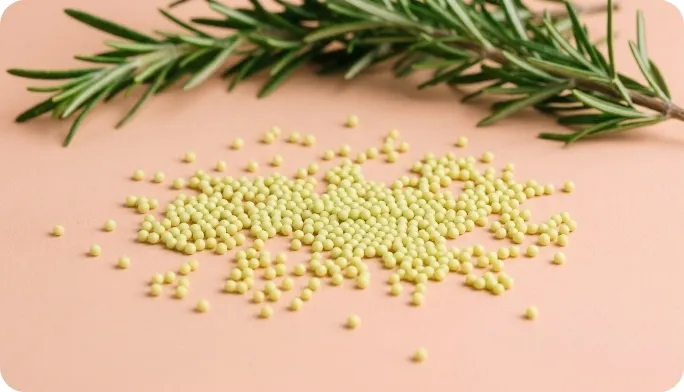 Encapsulated Rosemary Beadlets