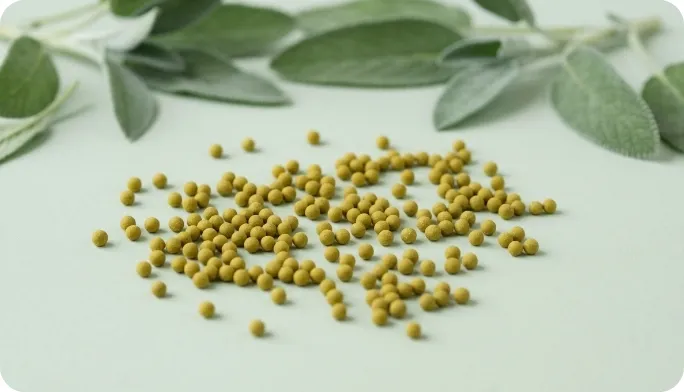 Encapsulated Sage Beadlets