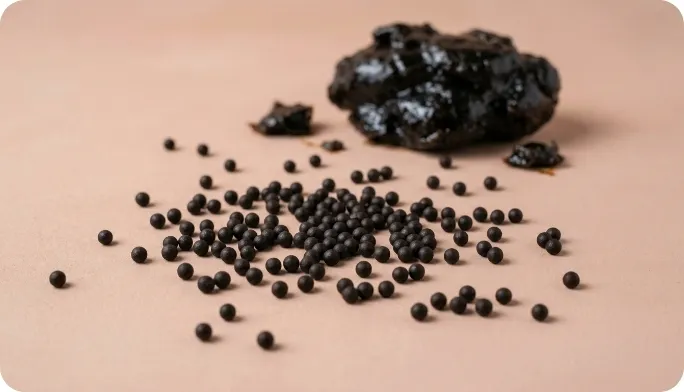 Encapsulated Shilajit Beadlets