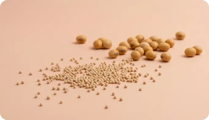Encapsulated Soybeans Fiber Beadlets