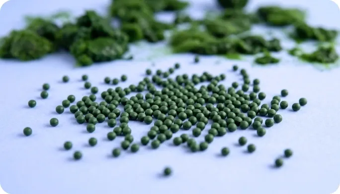 Encapsulated Spirulina Beadlets