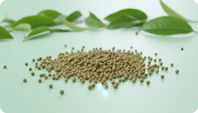 Encapsulated Green Tea Beadlets