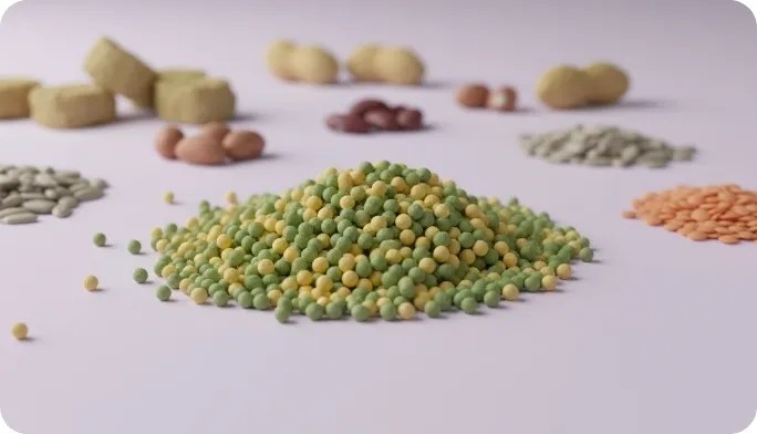 Encapsulated L-Threonine Beadlets