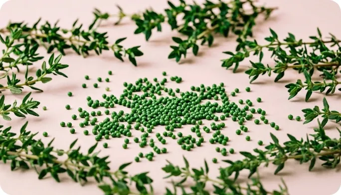 Encapsulated Thyme Beadlets