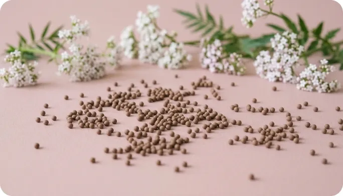 Encapsulated Valerian Beadlets