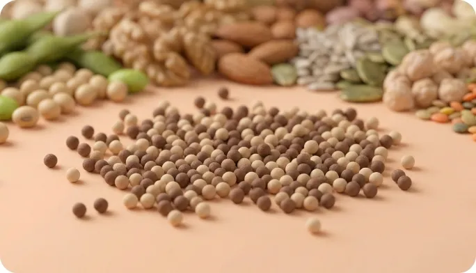 Encapsulated L-Valine Beadlets