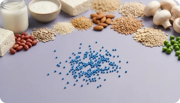 Encapsulated Vitamin B3 Beadlets