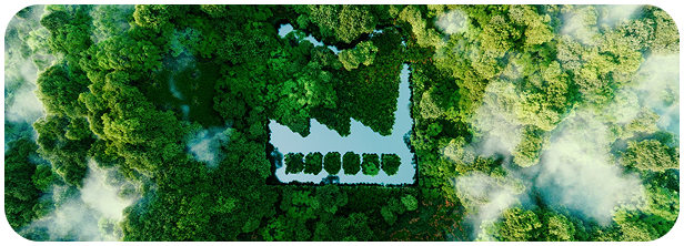 Bulk & Contract Manufacturing