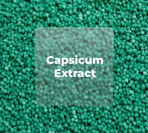 CAPSICUM EXTRACT BEADLETS
