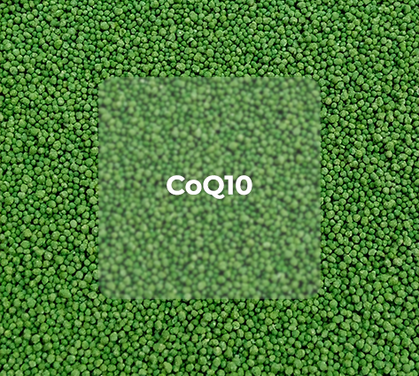 CoQ10 BEADLETS