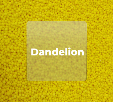 DANDELION EXTRACT BEADLETS