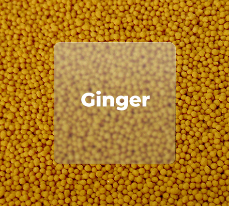 GINGER EXTRACT BEADLETS