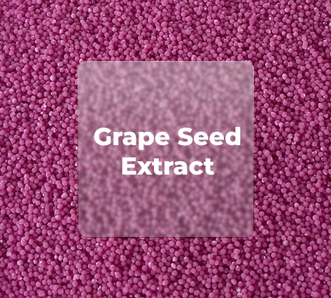 GRAPE SEED EXTRACT BEADLETS