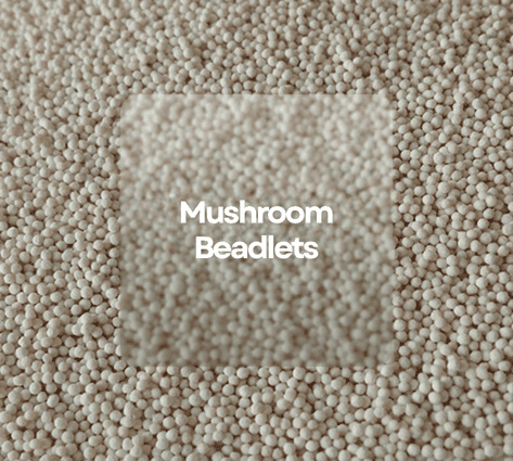 MUSHROOMS BEADLETS