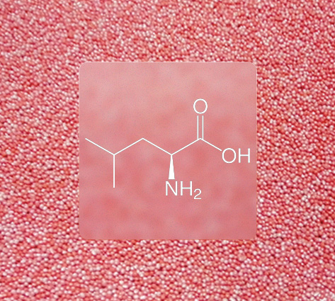 L LEUCINE BEADLETS