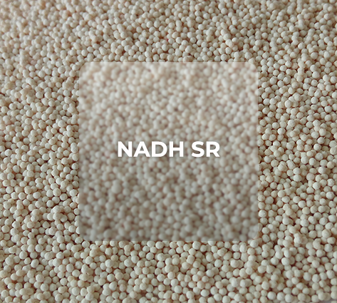 NADH SR BEADLETS