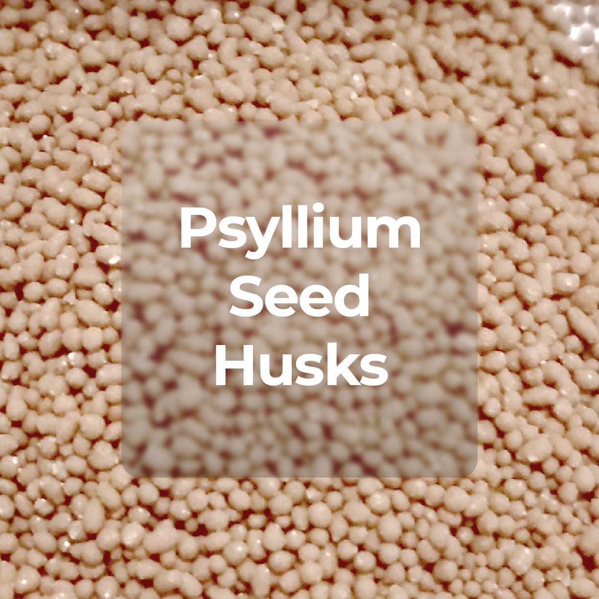 PSYLLIUM SEED HUSKS FIBER BEADLETS