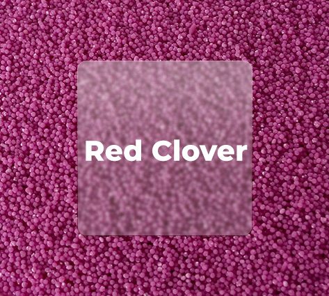 RED CLOVER EXTRACT BEADLETS