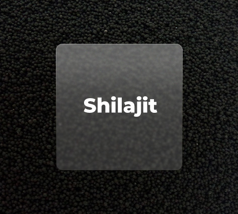 SHILAJIT EXTRACT BEADLETS