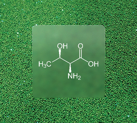 L THREONINE BEADLETS