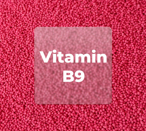 VITAMIN B9 BEADLETS