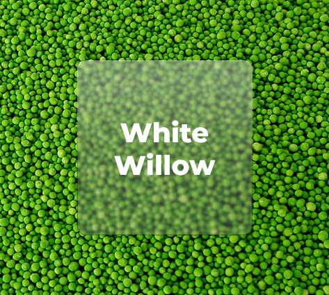 WHITE WILLOW EXTRACT BEADLETS