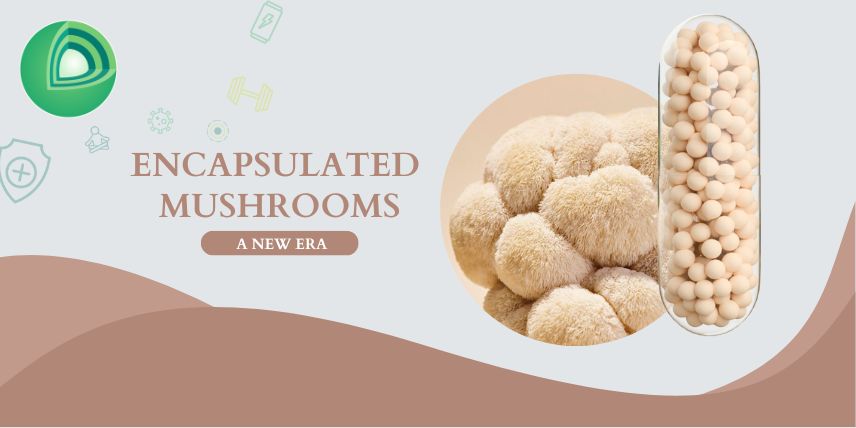 Encapsulated mushroom supplement with Lion�s Mane and beige capsules, symbolizing a new era in mushroom-based encapsulated mushroom nutraceuticals.